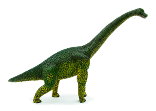 S.CENA Brachiozaur