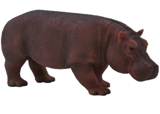 S.CENA Hipopotam - samica