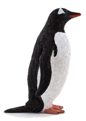 S.CENA pingwin białobrewy
