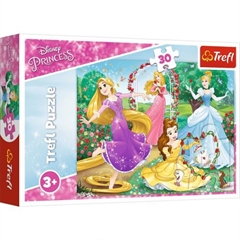 S.CENA Puzzles - _30_ - Be a princess / DisneyPrincess