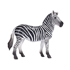 S.CENA Zebra - samica