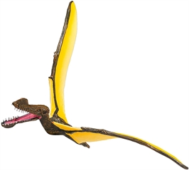 S.CENA Tropeognathus