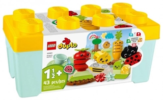 PROM LEGO 10984 Ogrod uprawowy