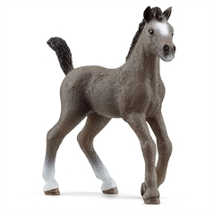 PROM Schleich Horse Club - źrebię rasy sellefrancais 13957