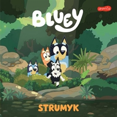 S.CENA BLUEY STRUMYK MOJA CZYTANKA