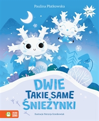 Dwie takie same śnieżynki 9788382408249