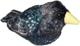 ptaszek z dźwiękiem SZPAK