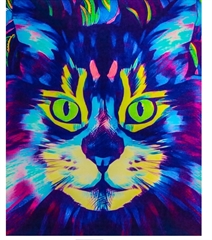 NORIMPEX MALOWANIE PO NR. KOT KOLOROWY ODCIENIE