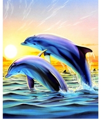NORIMPEX MALOWANIE PO NR. DELFINY NA TLE SŁOŃCA