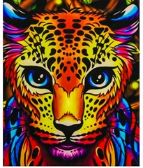 NORIMPEX MALOWANIE PO NR. PANTERA W CENTKI KOLOR