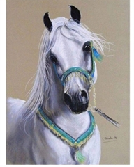 NORIMPEX MALOWANIE PO NR. KOŃ BIAŁY ARAB